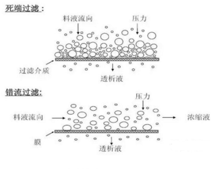 1609124654934619.png 圖片.png